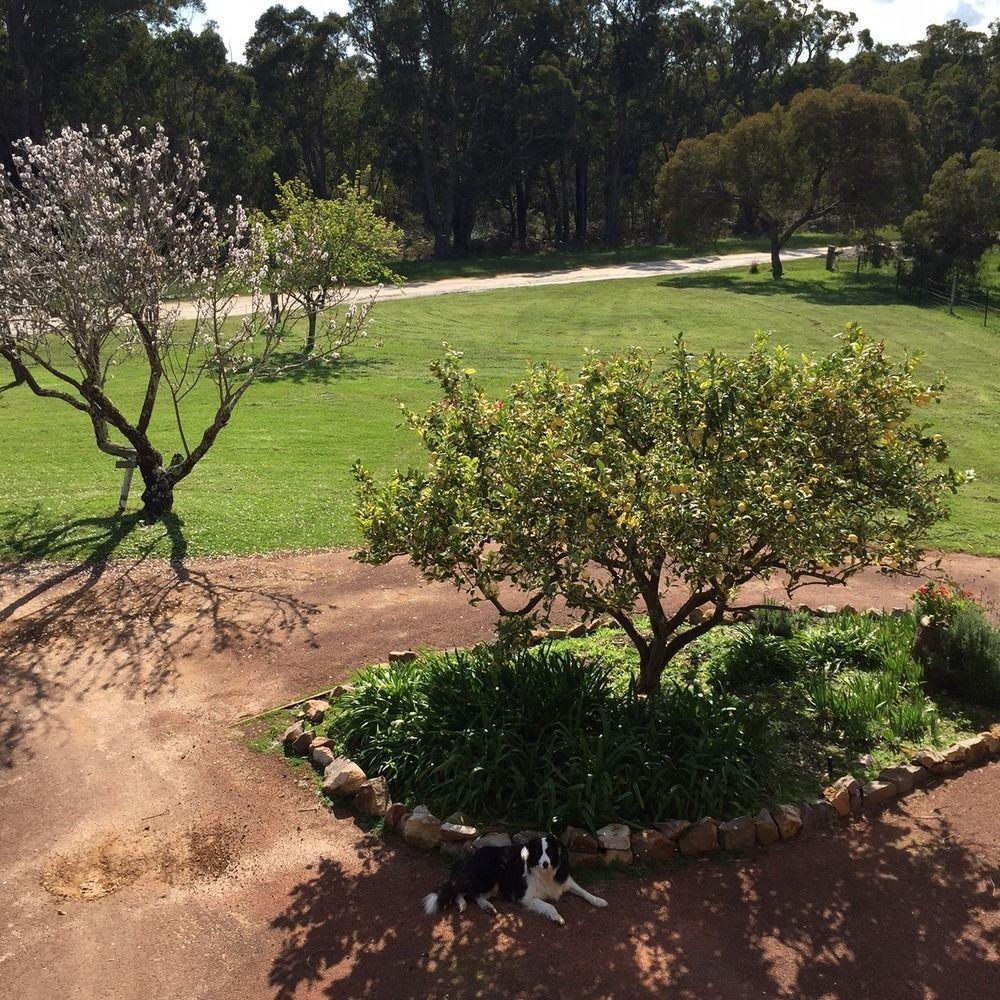 Erravilla Country Estate Spa Suite Accommodation Cowaramup 外观 照片