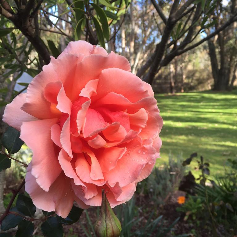 Erravilla Country Estate Spa Suite Accommodation Cowaramup 外观 照片